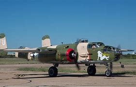 b 25 Yellow Rose